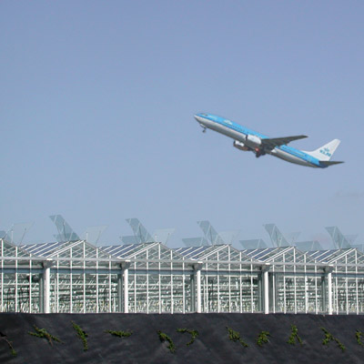 Een KLM-vliegtuig stijgt boven de kassen langs de snelweg op