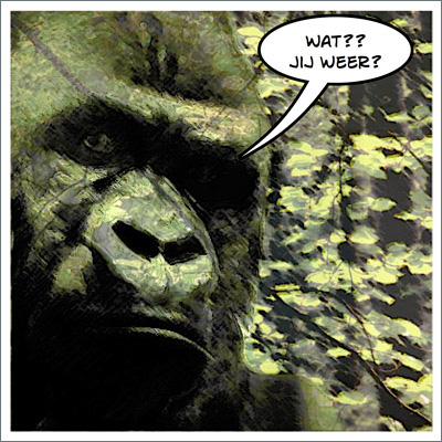 ”Wat moet een vrouw uit Zoetermeer vier keer per week bij een gorilla in Rotterdam?”